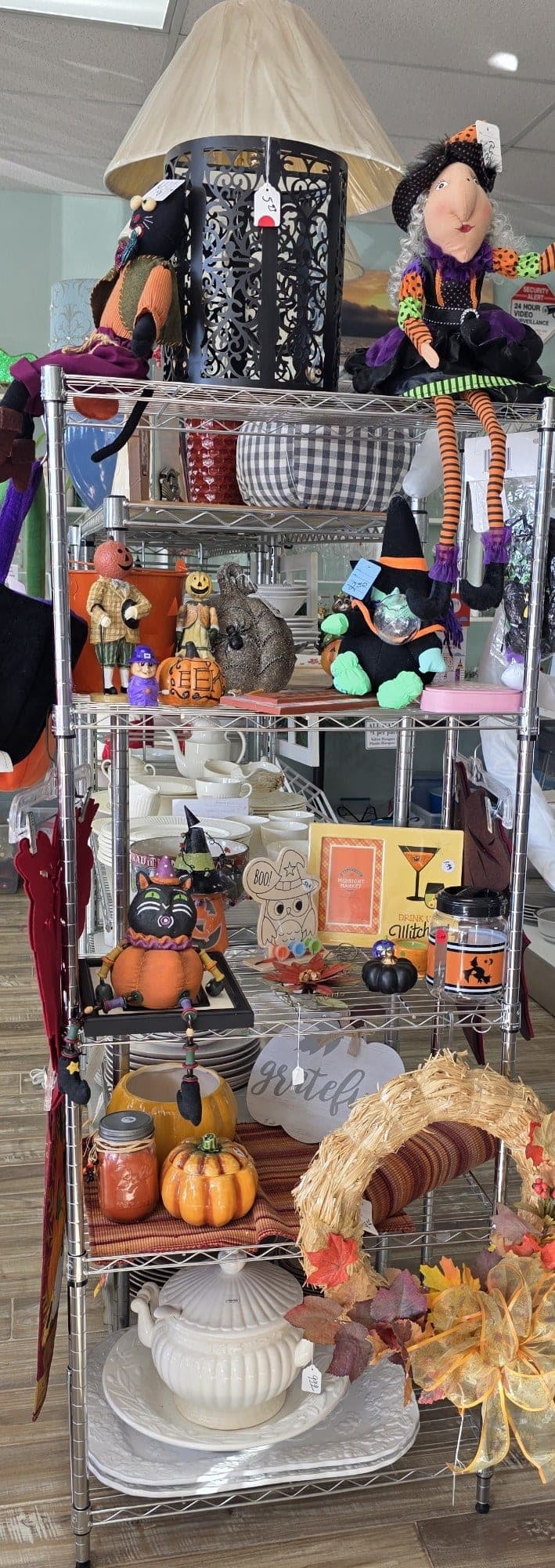 Halloween/Fall Decor